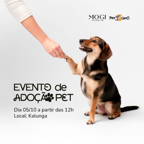 Evento de Adoção Pet – Mogi Shopping