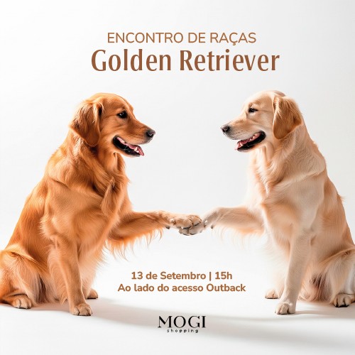 🐾 ENCONTRO DE RAÇAS – GOLDEN RETRIEVER 🐾