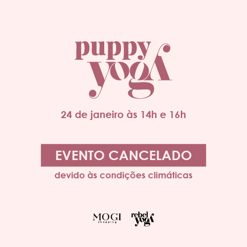 Puppy Yoga chega ao Mogi Shopping com experiência única de bem-estar e conexão