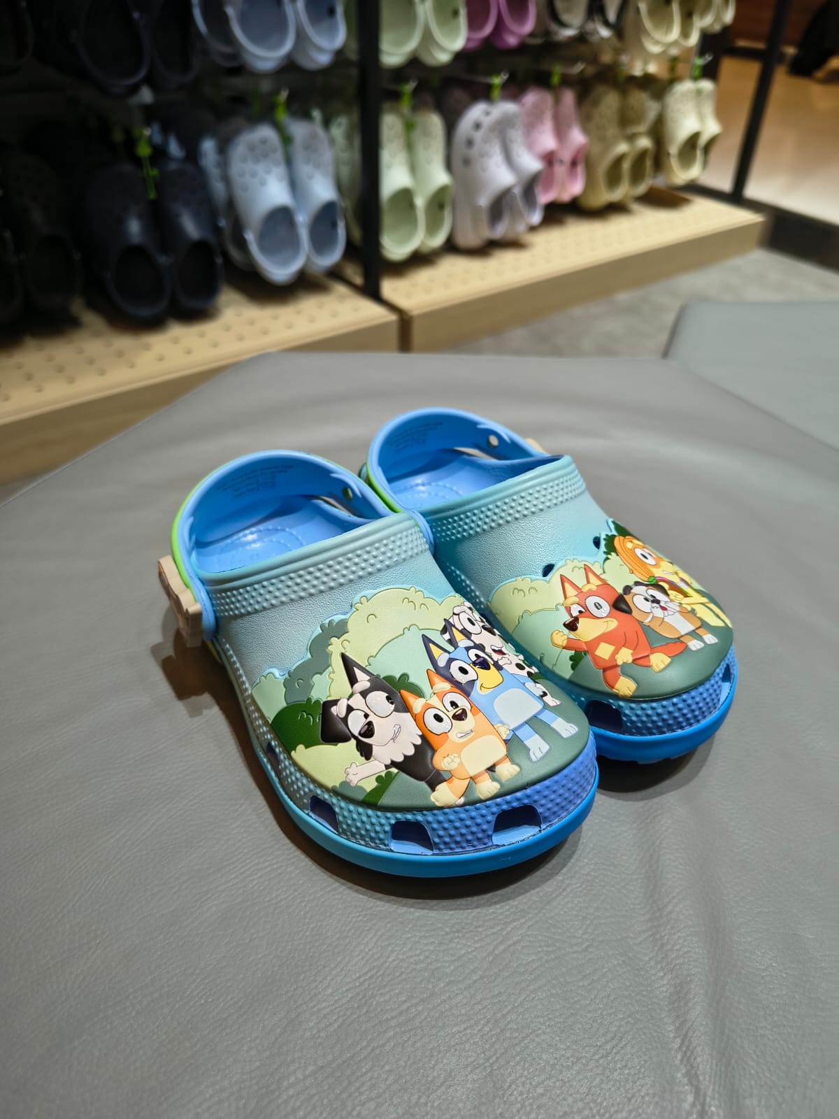 Bluey Mult C/s c/g +