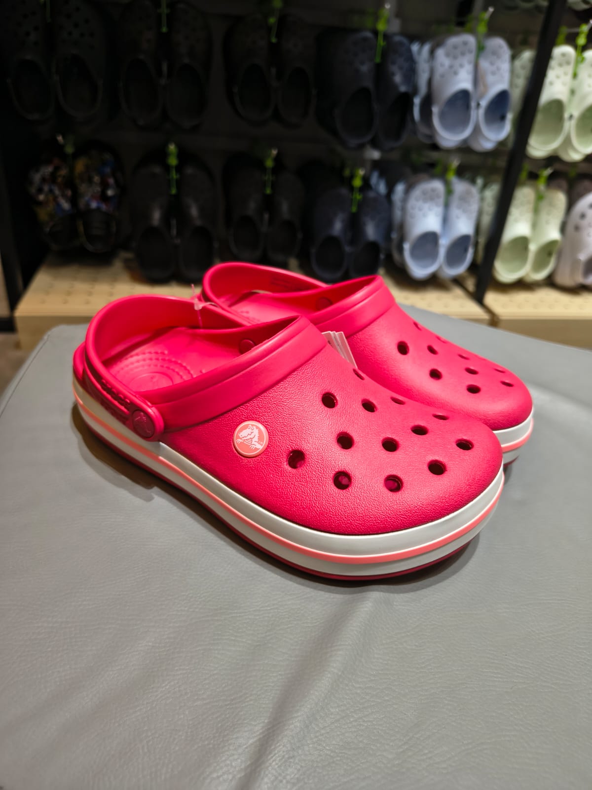 Crocband Digital Rapberry