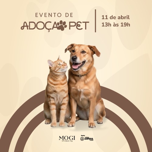Adoção pet em parceria com Ampara Animal