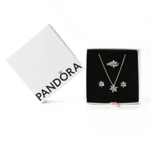 Conjunto Riqueza Botânica